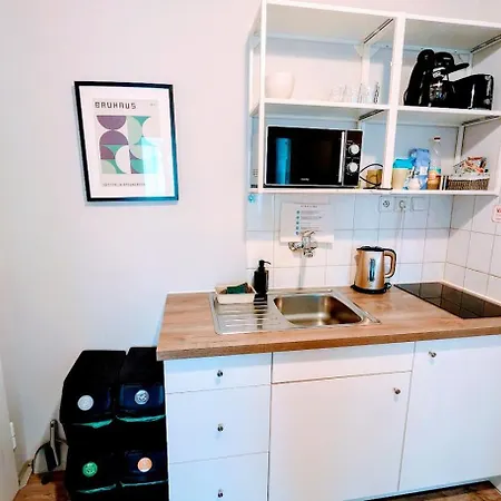 Flat In Zizkov -401- Praha