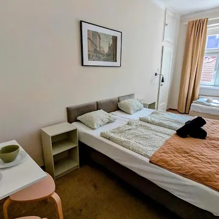 Flat In Zizkov -401- *