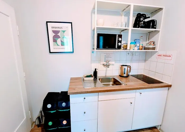 Flat In Zizkov -401- 프라하