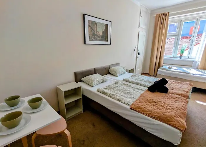 Flat In Zizkov -401- *