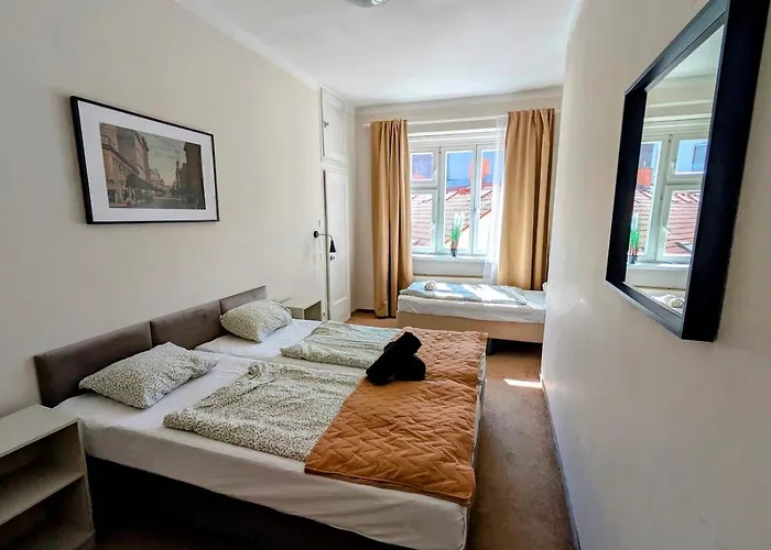 Flat In Zizkov -401-